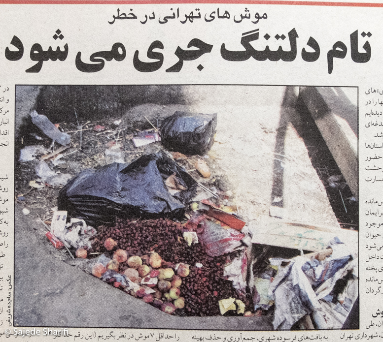 Hamshahri-22.4.1384-n3746-DSCF7758