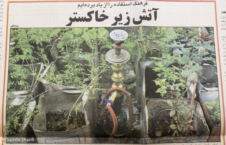 Hamshahri-3.6.1384-n3783-DSCF6536